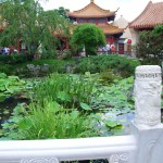 IMGP1729